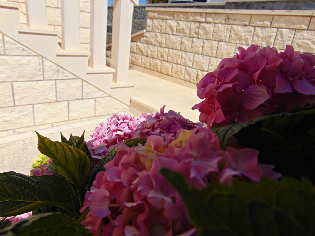 פוסטיר Apartment Baloevic מראה חיצוני תמונה