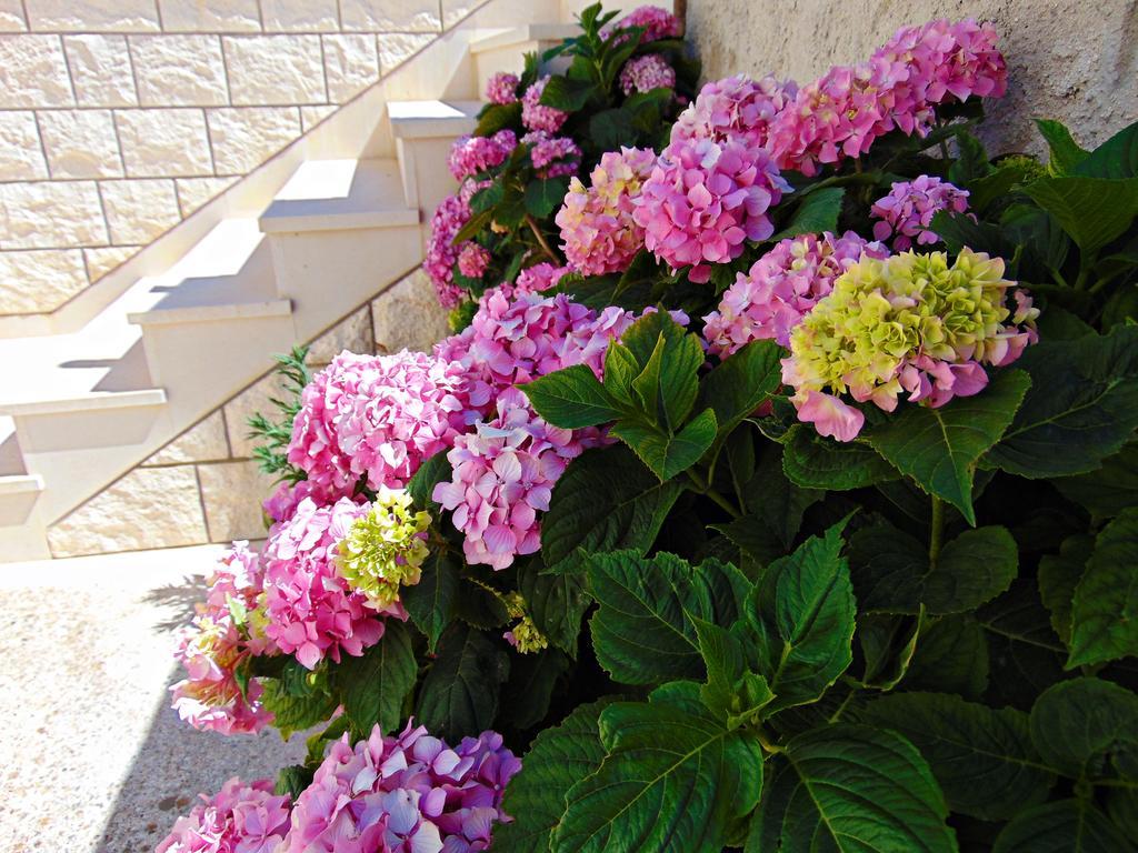 פוסטיר Apartment Baloevic מראה חיצוני תמונה